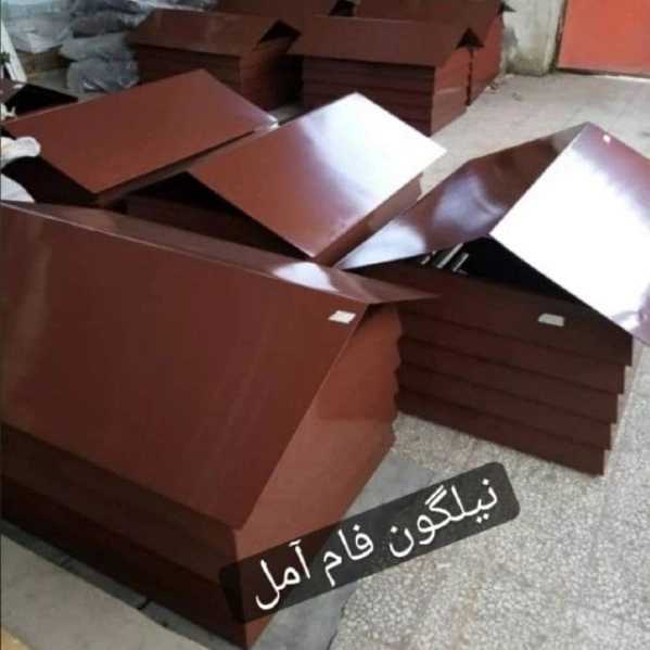 1709800148141.webp